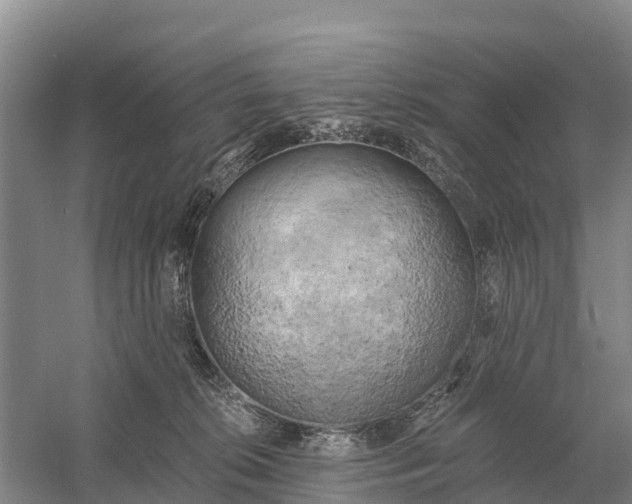 X0000058800276200510282111