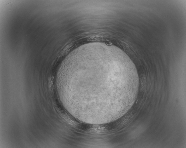 X0000058800278200510282111