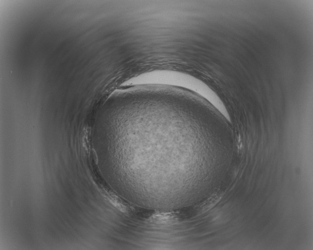 X0000058800280200510282111