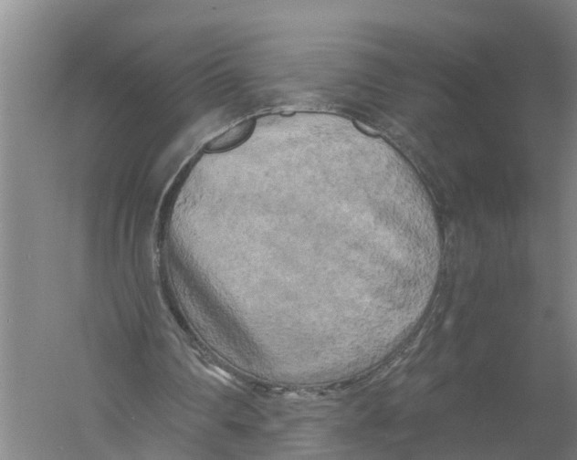 X0000058800290200510282111