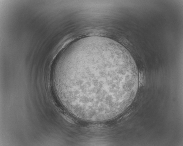 X0000058800291200510282111