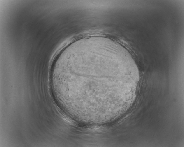 X0000058800293200510282111