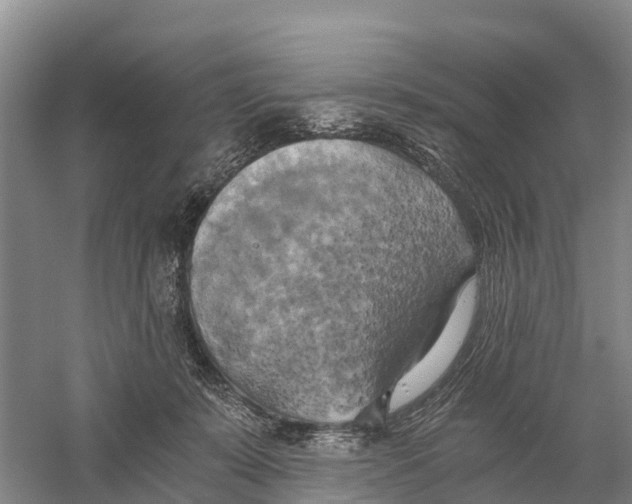 X0000058800319200510282110