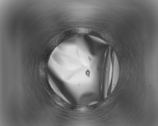 X0000058800325200510282110