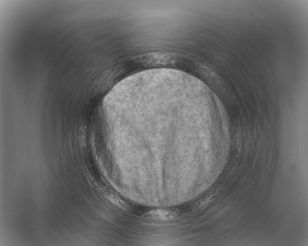 X0000058800326200510282110