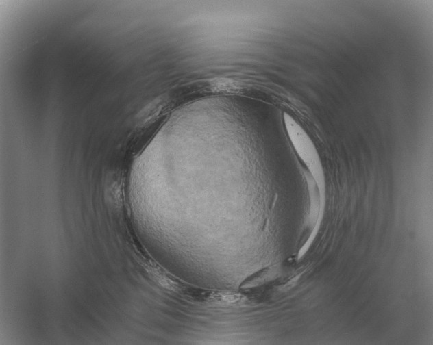 X0000058800329200510282110