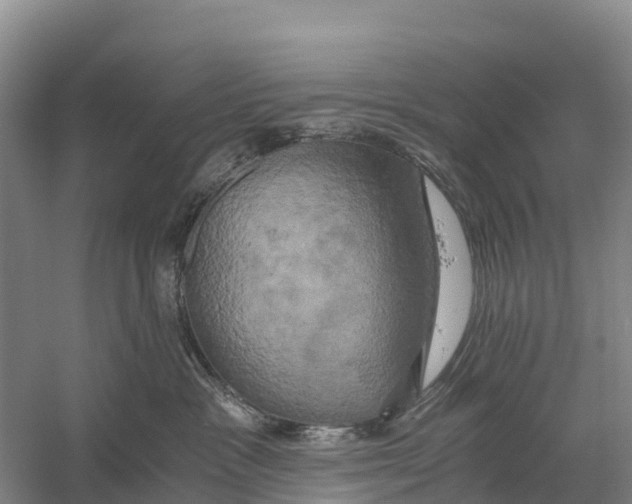 X0000058800333200510282110