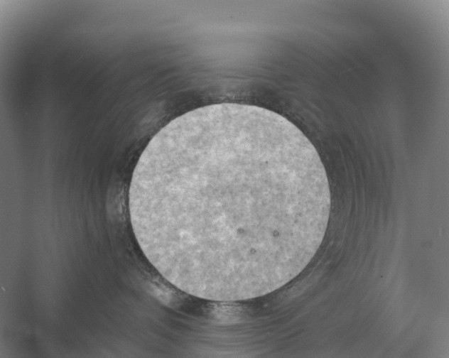 X0000058800336200510282110