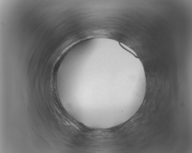 X0000058800338200510282109