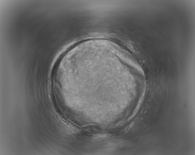 X0000058800342200510282109