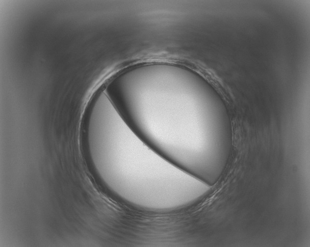 X0000058800344200510282109