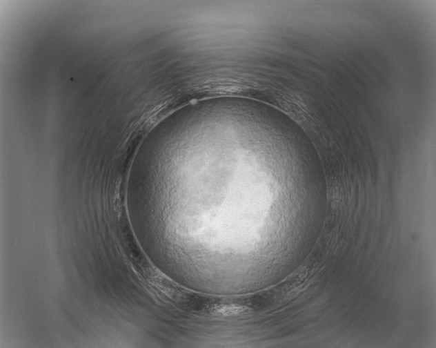 X0000058800360200510282110