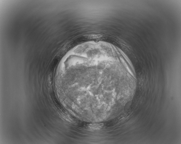 X0000058800373200510282110