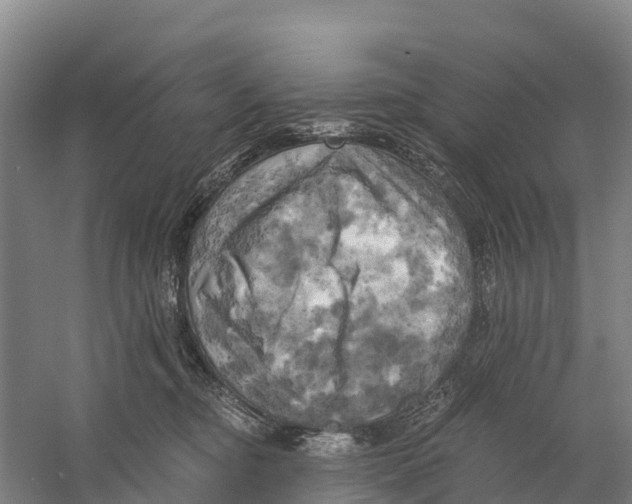X0000058800374200510282110