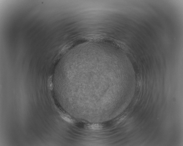 X0000058800383200510282110