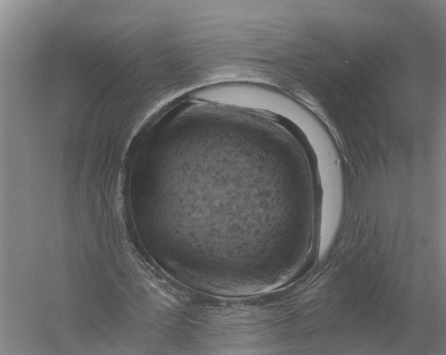 X0000058800387200510282109