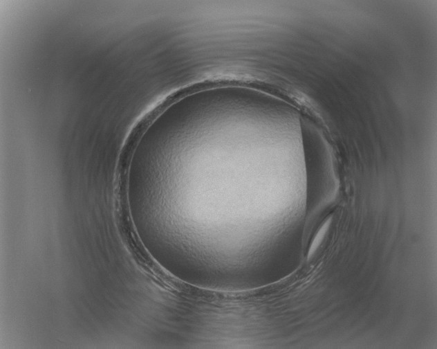 X0000058800388200510282109