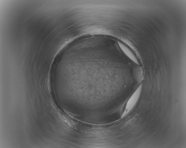 X0000058800391200510282109