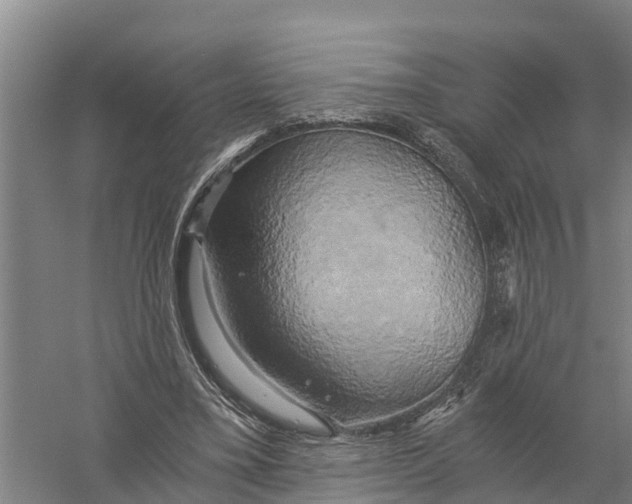 X0000058800395200510282109