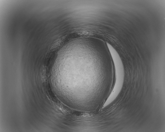 X0000058800416200510282109