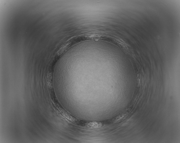 X0000058800421200510282108