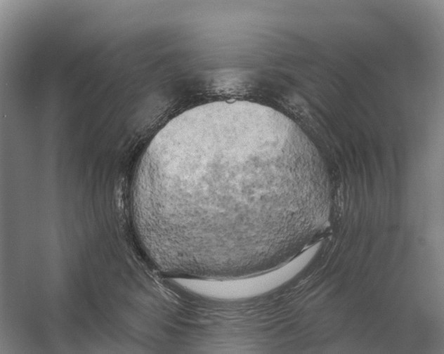 X0000058800424200510282108