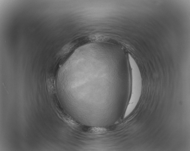 X0000058800429200510282108