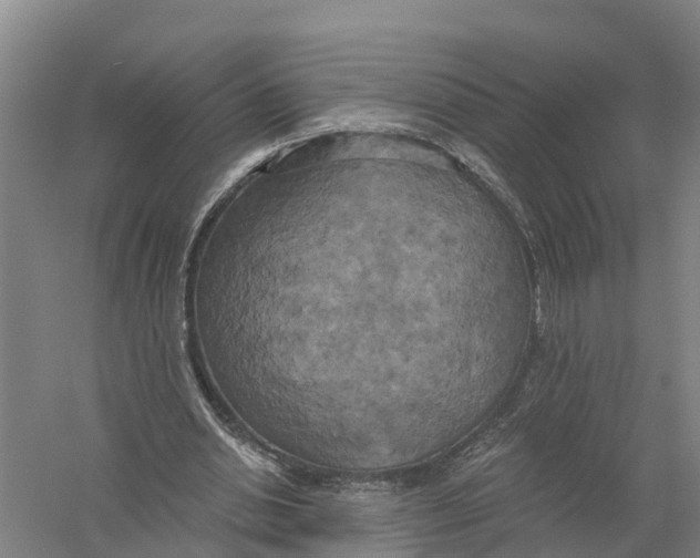 X0000058800438200510282108