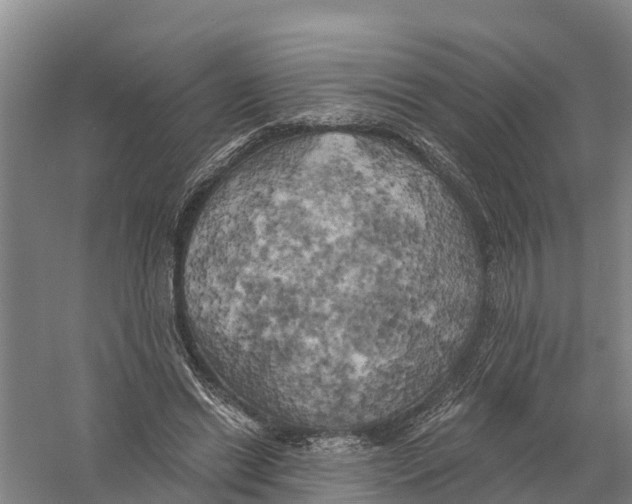 X0000058800446200510282108