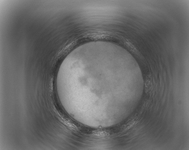 X0000058800454200510282108