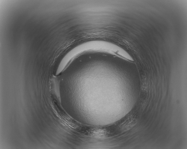 X0000058800456200510282108