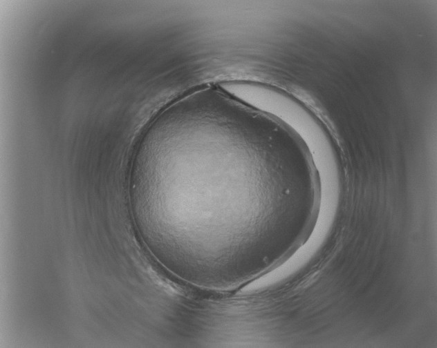 X0000058800481200510282107