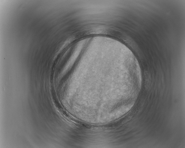 X0000058800482200510282107