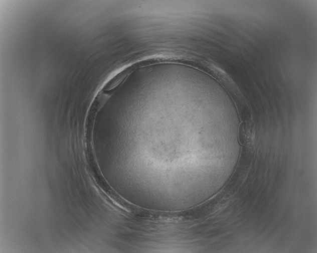 X0000058800484200510282107