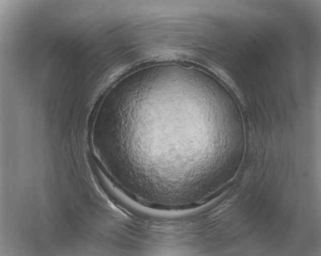 X0000058800485200510282107