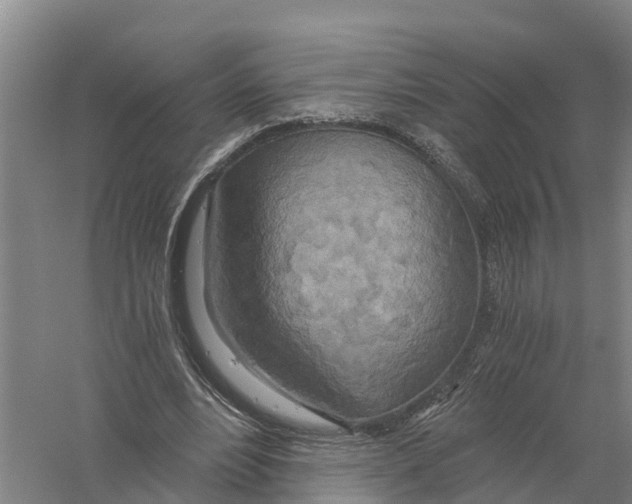 X0000058800488200510282107