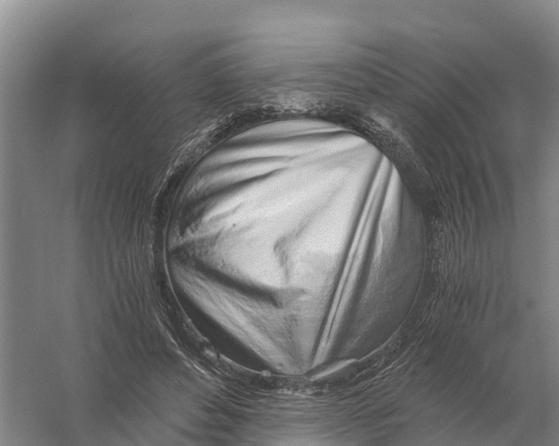 X0000058800496200510282107