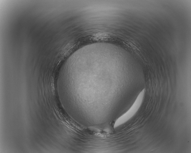 X0000058800508200510282107