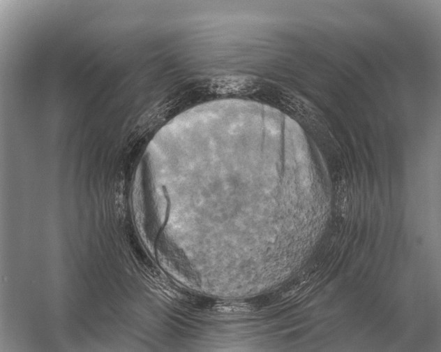 X0000058800510200510282107