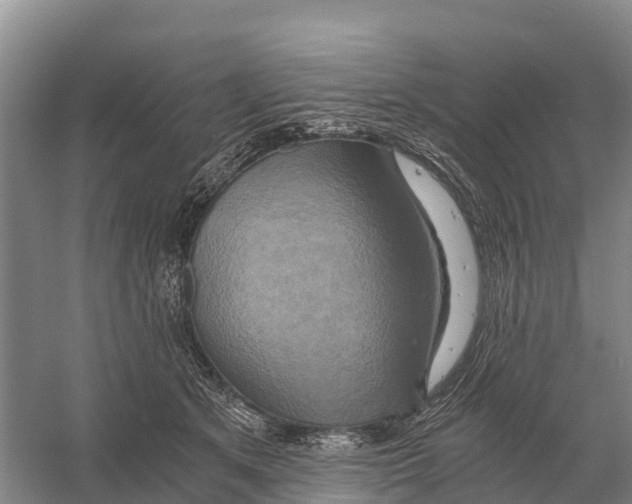 X0000058800513200510282107