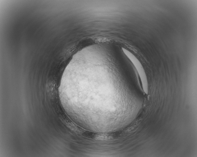 X0000058800521200510282107