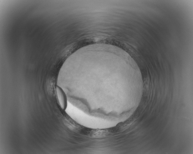 X0000058800527200510282107