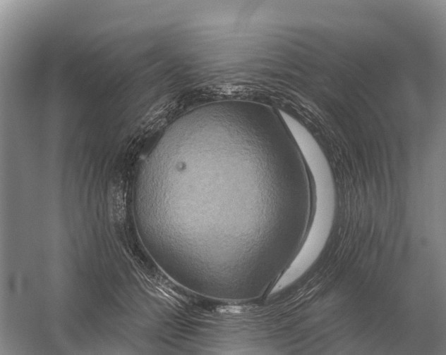 X0000058800558200510282106