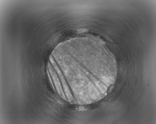 X0000058800565200510282106
