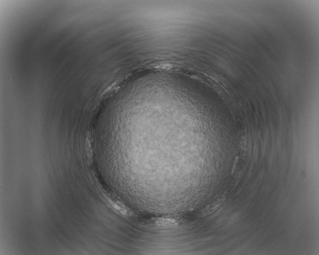X0000058800572200510282107