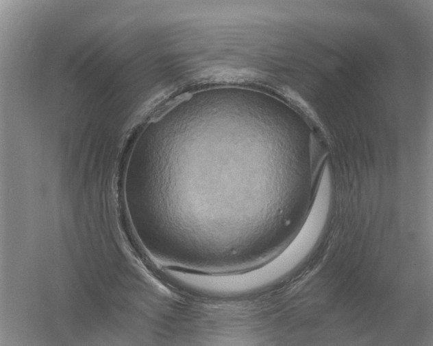 X0000058800581200510282106