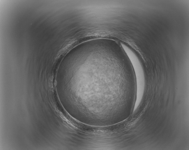 X0000058800585200510282106