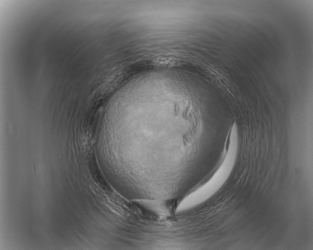 X0000058800601200510282105