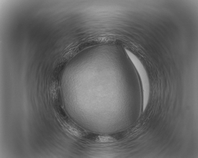X0000058800605200510282105