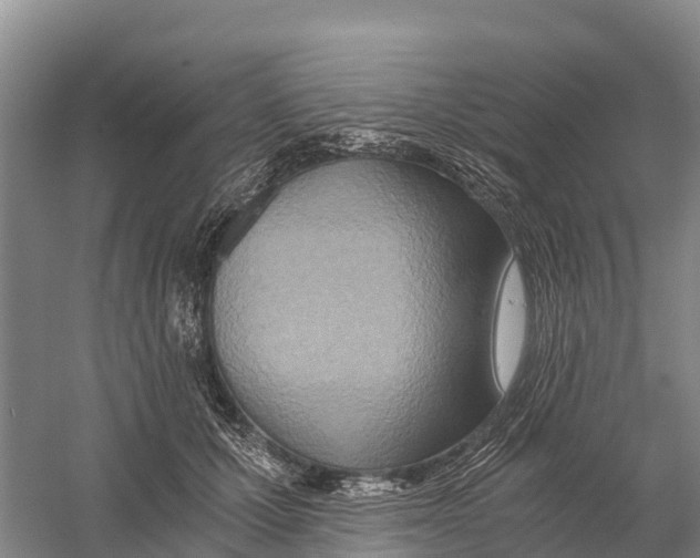 X0000058800607200510282105